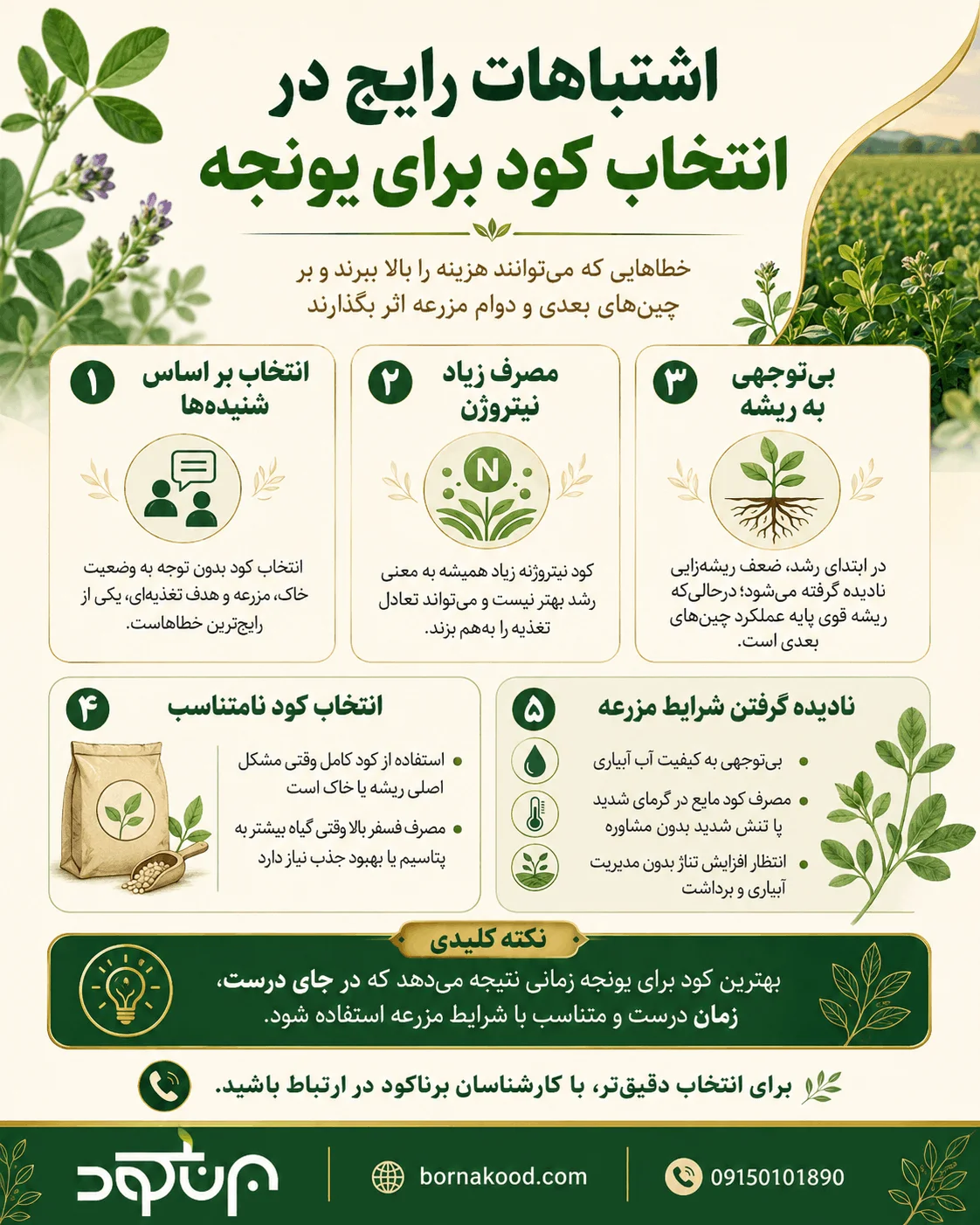 اشتباهات رایج در انتخاب کود برای یونجه - برناکود