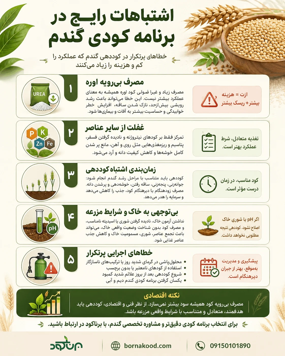 اشتباهات رایج در برنامه کودی گندم - برناکود