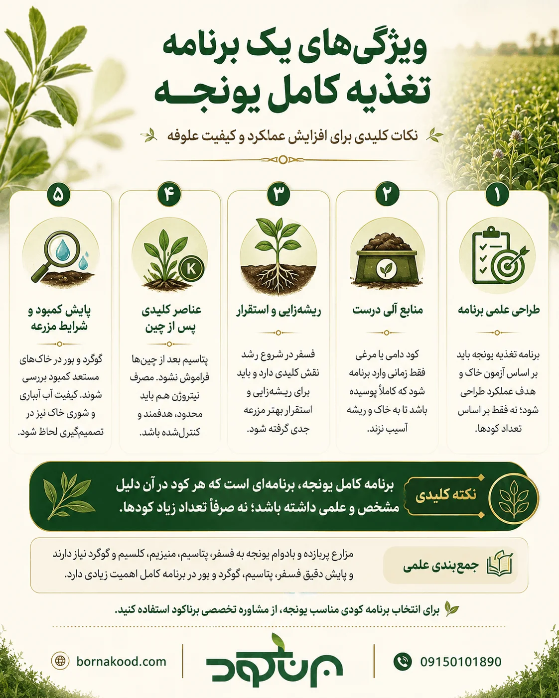 ویژگیهای یک برنامه تغذیه کامل یونجه - برناکود