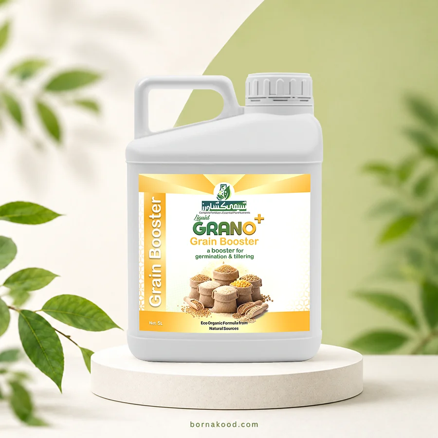 grano-new-5 کود مایع مخصوص غلات حجم 5 لیتر - برناکود